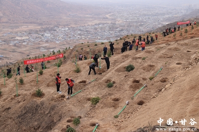 甘谷县四大组织领导参加春季义务植树活动(图)